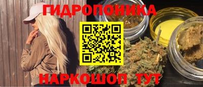 СК Новодвинск