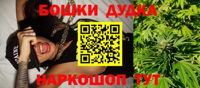 СК Новодвинск