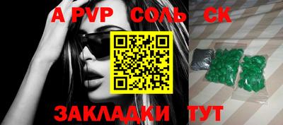 СК Новодвинск