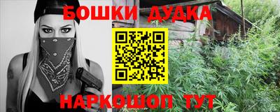 СК Новодвинск