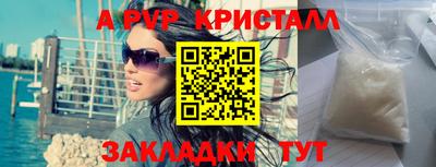 СК Новодвинск