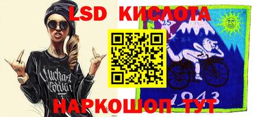 СК Новодвинск