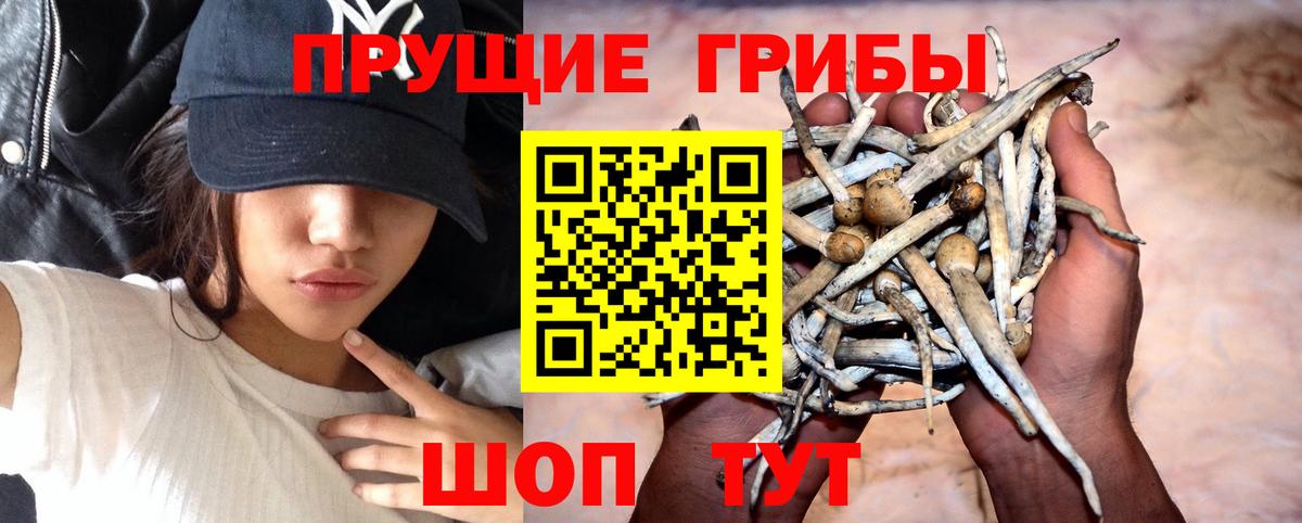 Псилоцибиновые грибы MAGIC MUSHROOMS Славянск-на-Кубани